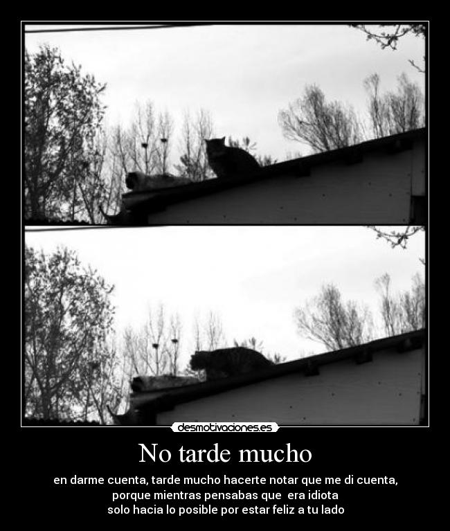 No tarde mucho - en darme cuenta, tarde mucho hacerte notar que me di cuenta,
porque mientras pensabas que era idiota
solo hacia lo posible por estar feliz a tu lado
