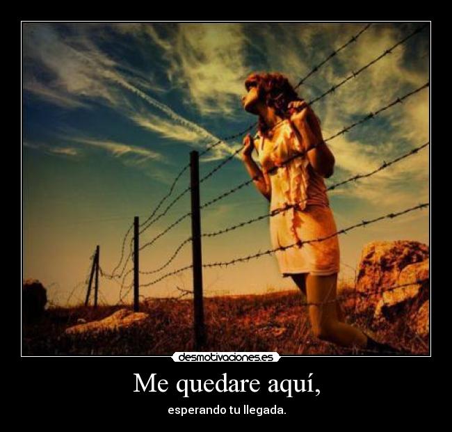 Me quedare aquí, - esperando tu llegada.