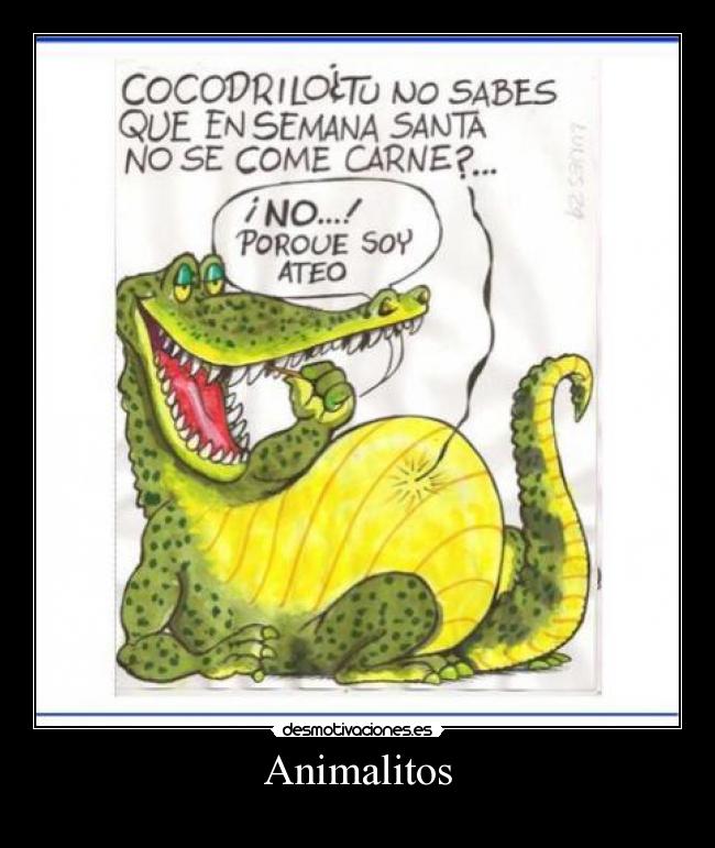 Animalitos - 