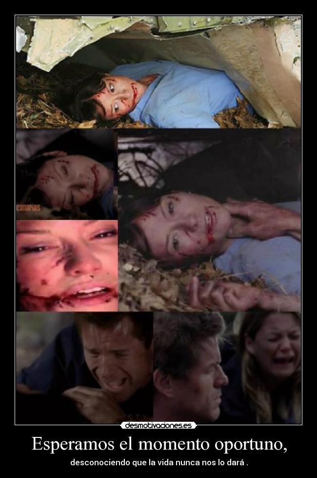 carteles pachusdefresa espero que guste collage hice jaja anatomia grey mark lexie meredith desmotivaciones