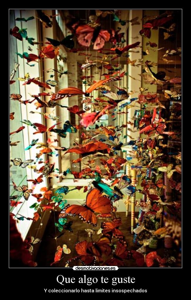 Que algo te guste - Y coleccionarlo hasta limites insospechados