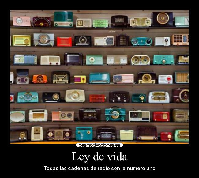 Ley de vida -