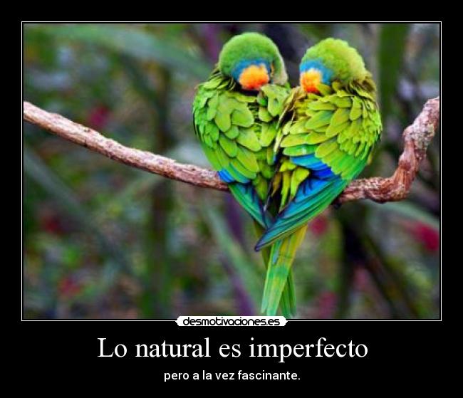 Lo natural es imperfecto - 