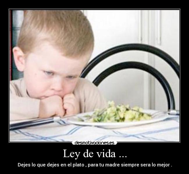 Ley de vida ... - 