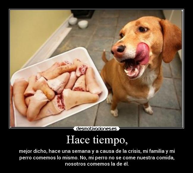 Hace tiempo, - mejor dicho, hace una semana y a causa de la crisis, mi familia y mi
perro comemos lo mismo. No, mi perro no se come nuestra comida,
nosotros comemos la de él.