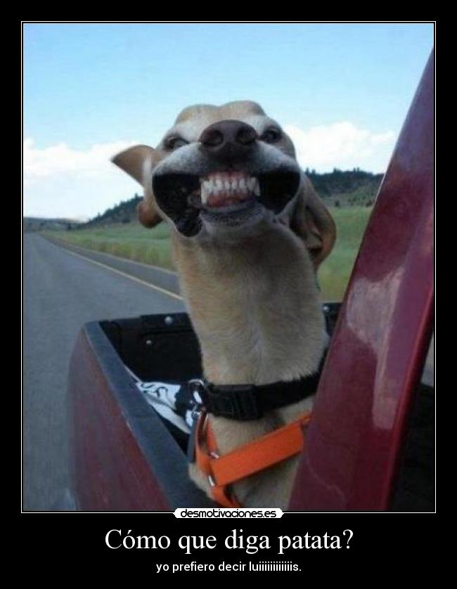 Cómo que diga patata? - 