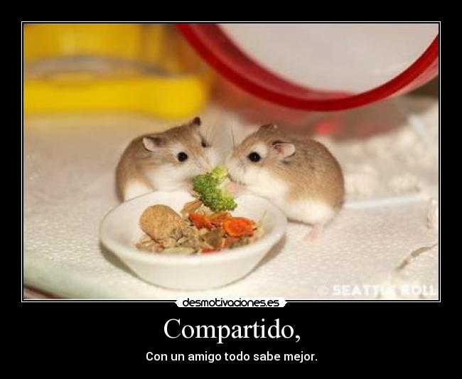 Compartido, - 