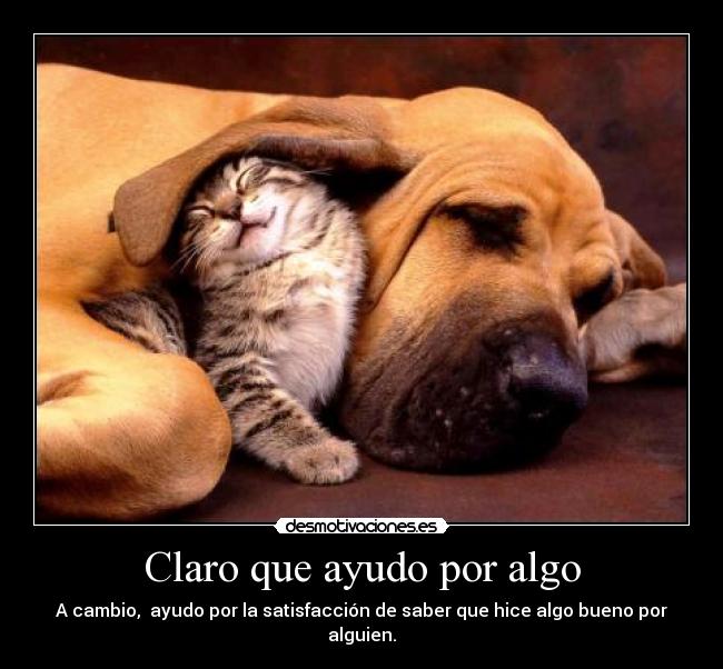 carteles ayudar desmotivaciones