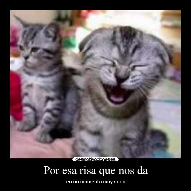 Por esa risa que nos da -