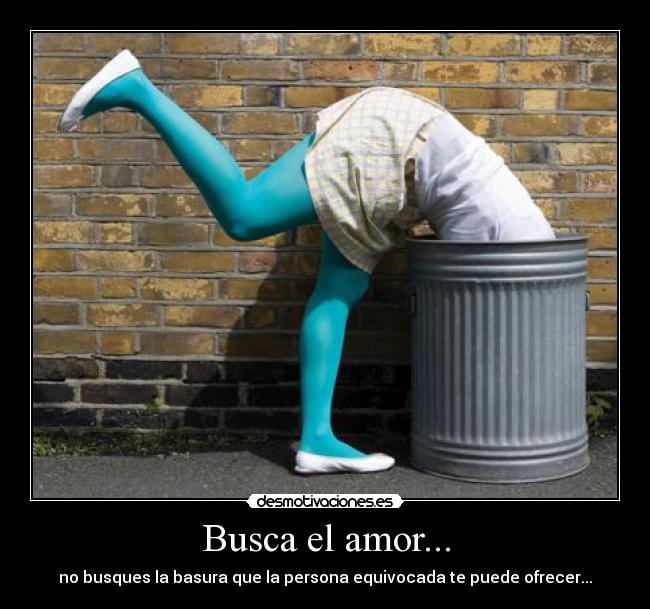 Busca el amor... - no busques la basura que la persona equivocada te puede ofrecer...