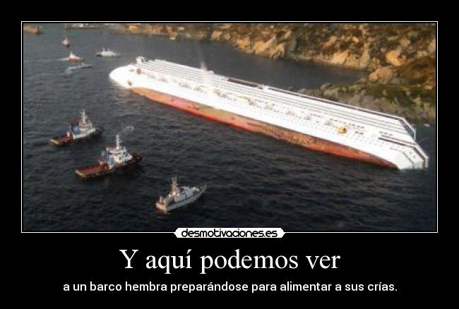 Y aquí podemos ver -