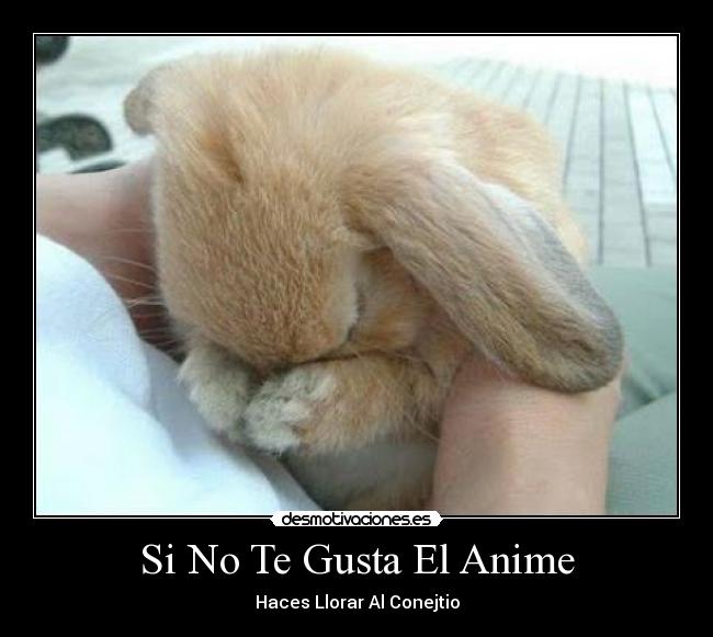 Si No Te Gusta El Anime -