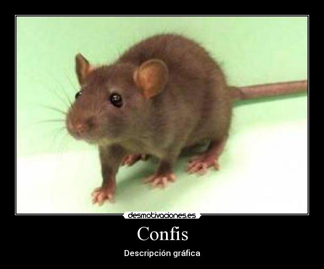Confis -