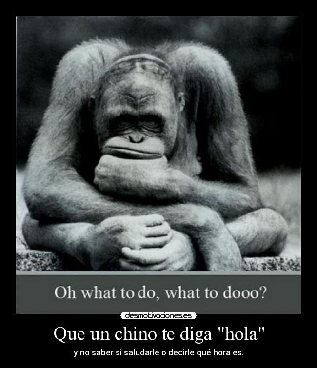 Que un chino te diga hola -