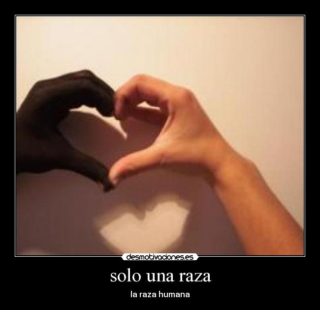 carteles racismo desmotivaciones