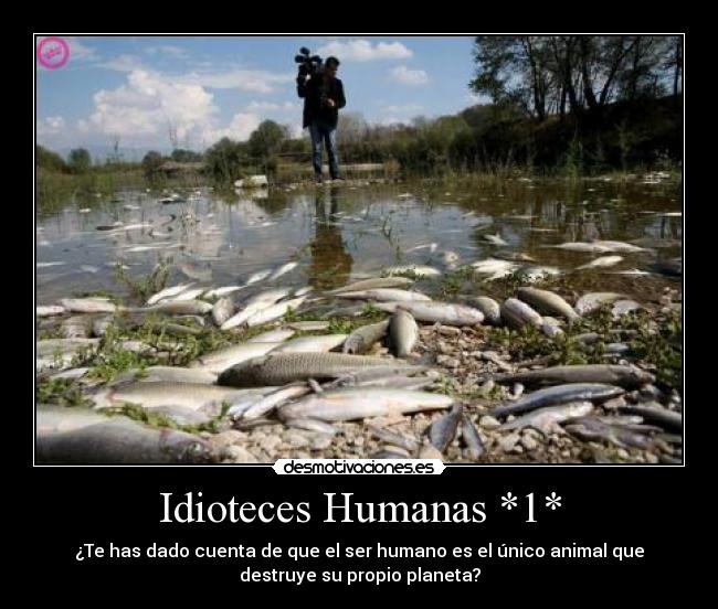 Idioteces Humanas *1* -