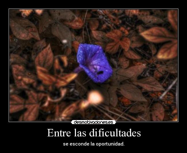 Entre las dificultades -