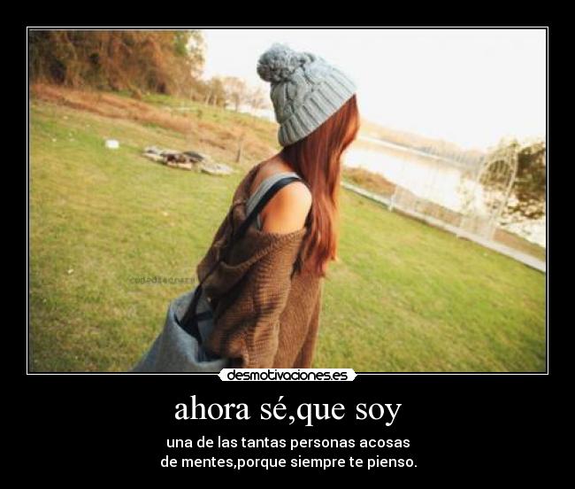 carteles ahora se que soy desmotivaciones