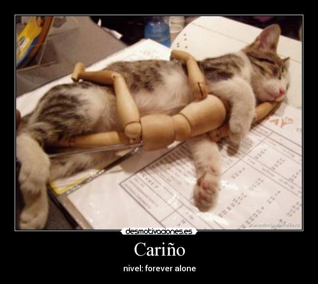 Cariño - nivel: forever alone