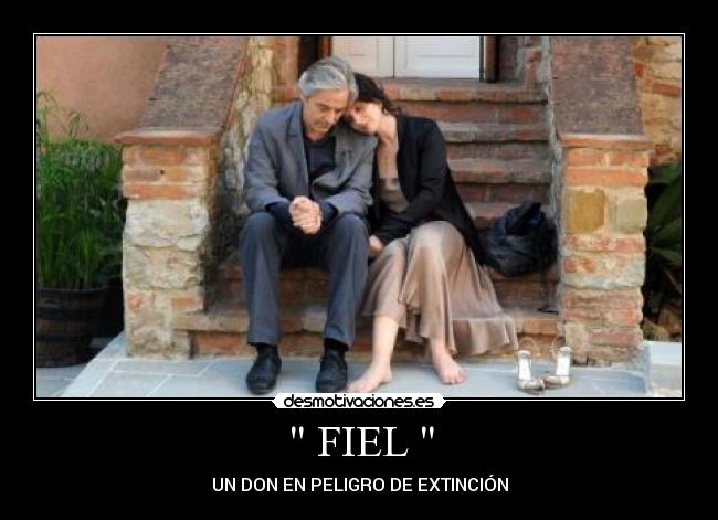 carteles mariposa74 desmotivaciones