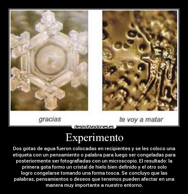 carteles hielo desmotivaciones
