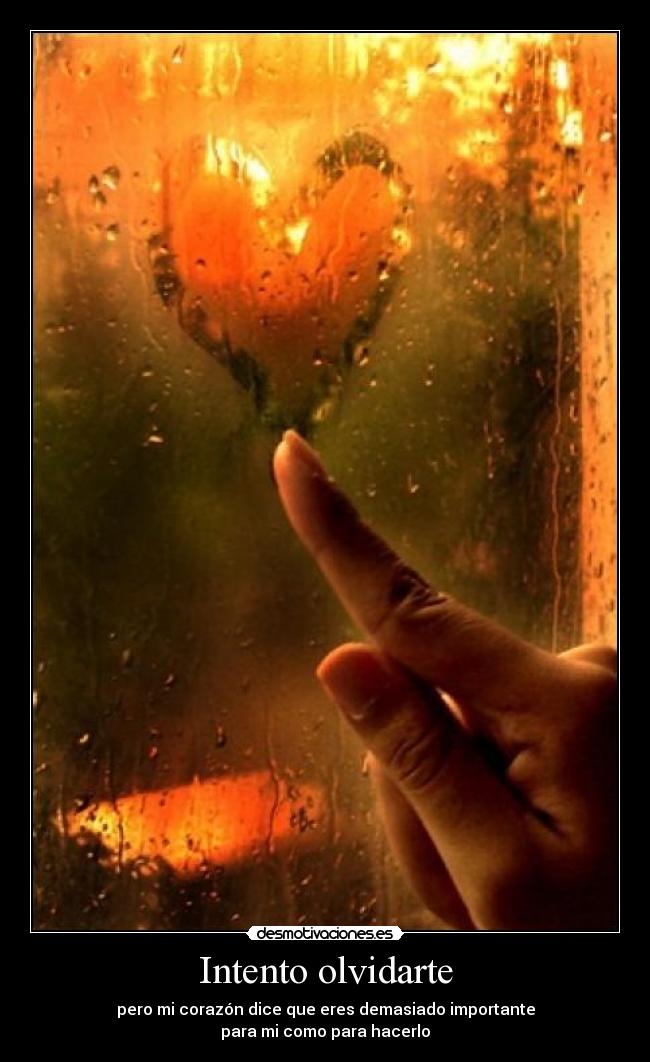 Intento olvidarte - 