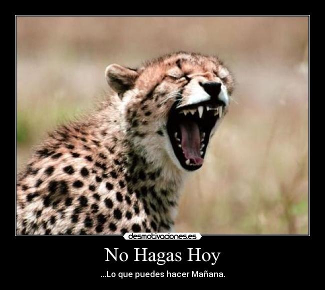 No Hagas Hoy -
