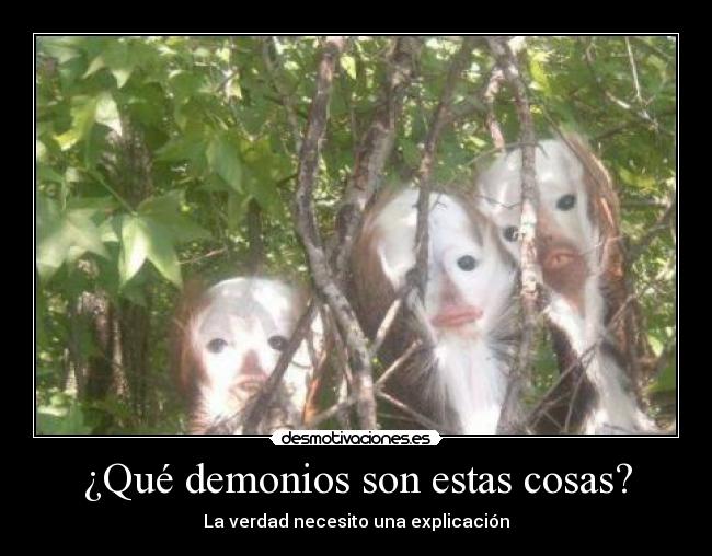 ¿Qué demonios son estas cosas? - 