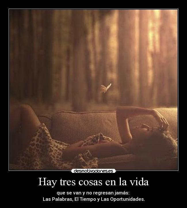 Hay tres cosas en la vida - que se van y no regresan jamás: 
Las Palabras, El Tiempo y Las Oportunidades.