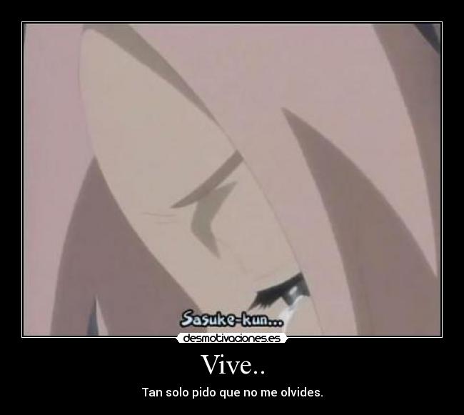 Vive.. -