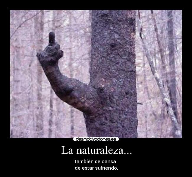 La naturaleza... -