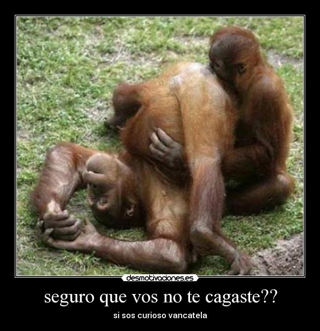 carteles curiosos desmotivaciones