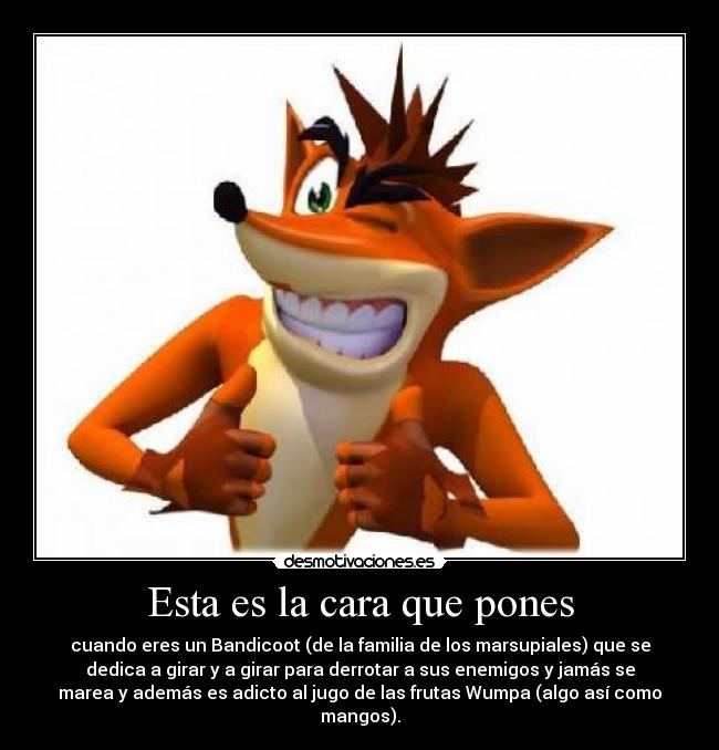 Esta es la cara que pones - cuando eres un Bandicoot (de la familia de los marsupiales) que se
dedica a girar y a girar para derrotar a sus enemigos y jamás se
marea y además es adicto al jugo de las frutas Wumpa (algo así como
mangos).