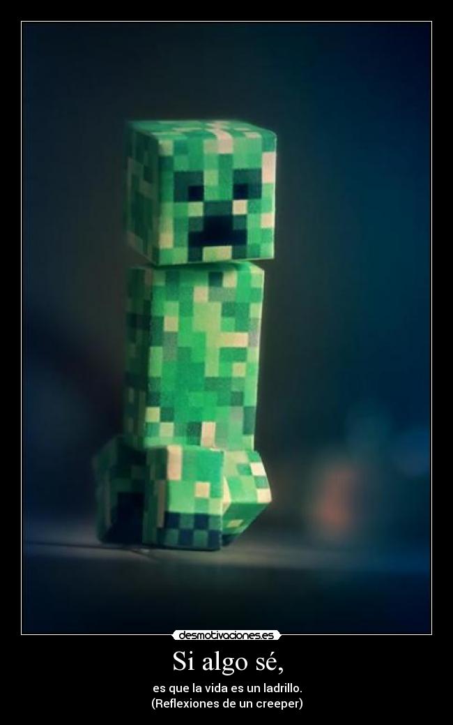 Si algo sé, - es que la vida es un ladrillo.
(Reflexiones de un creeper)