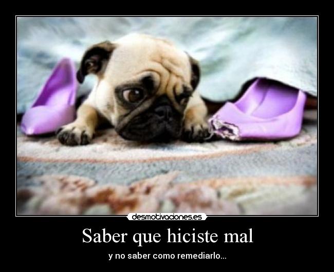 Saber que hiciste mal -