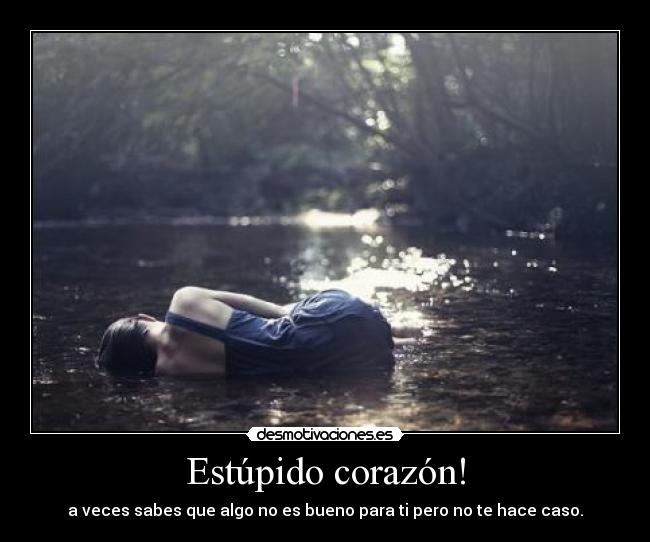 Estúpido corazón! - 