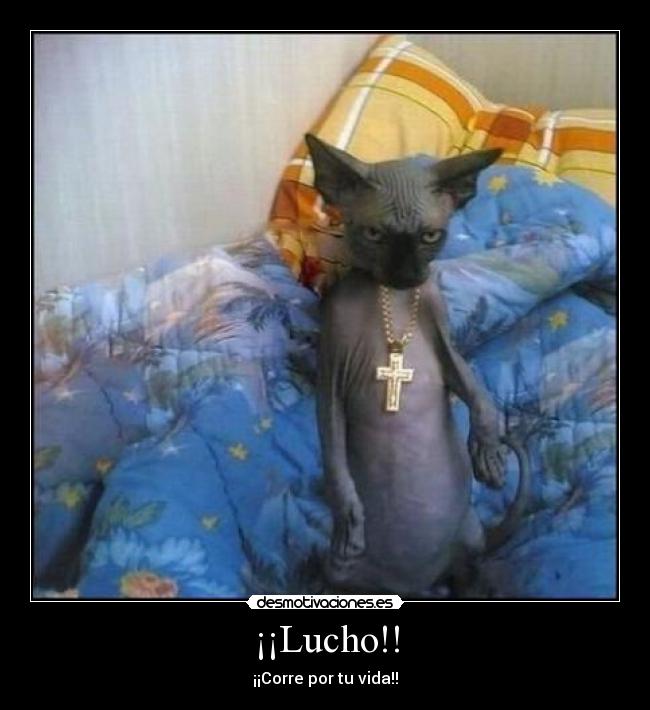 ¡¡Lucho!! - ¡¡Corre por tu vida!!