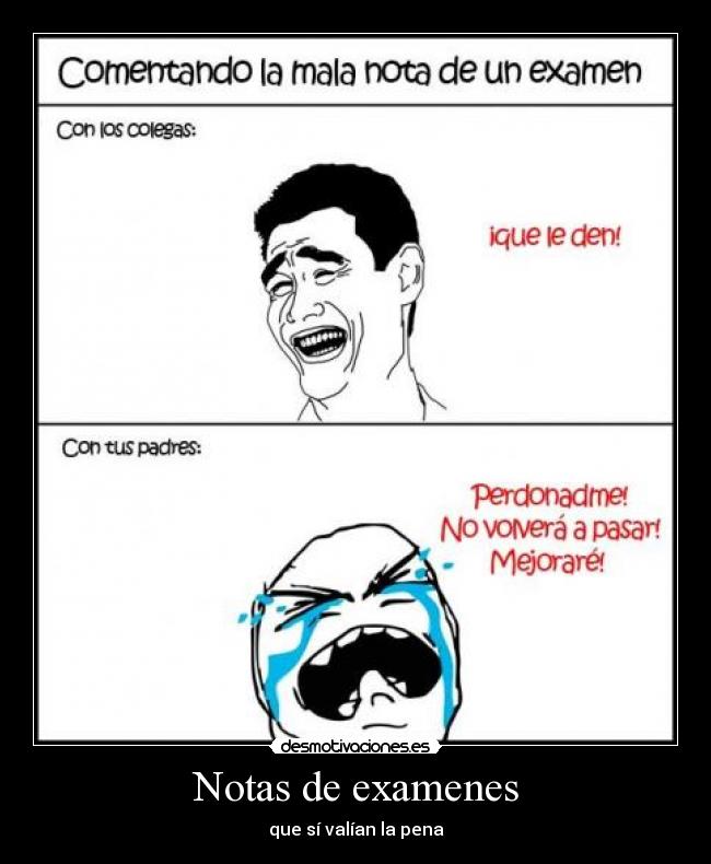 Notas de examenes -