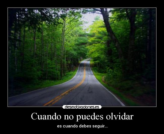 carteles olvidar esthermarie desmotivaciones