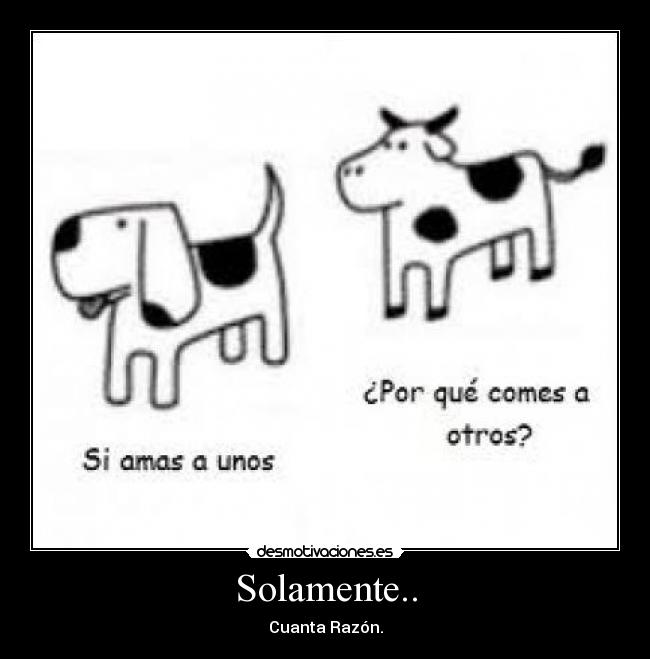 Solamente.. -