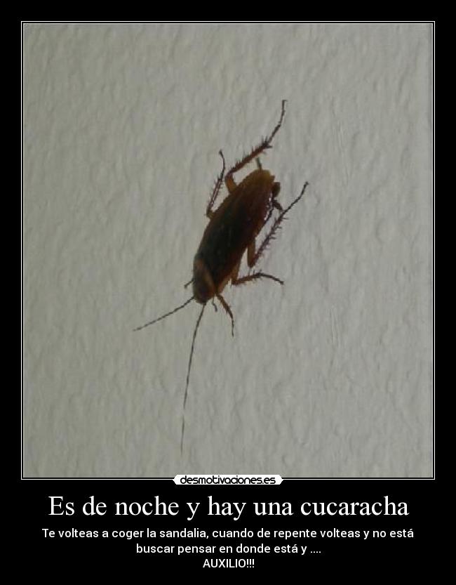 carteles solo pasa noche desmotivaciones