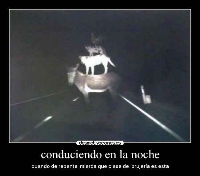 conduciendo en la noche - cuando de repente mierda que clase de brujería es esta