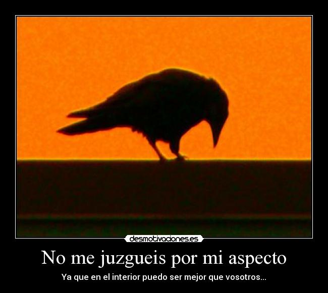 No me juzgueis por mi aspecto - Ya que en el interior puedo ser mejor que vosotros...