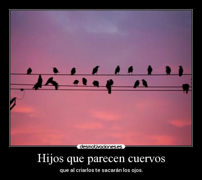 Hijos que parecen cuervos - que al criarlos te sacarán los ojos.