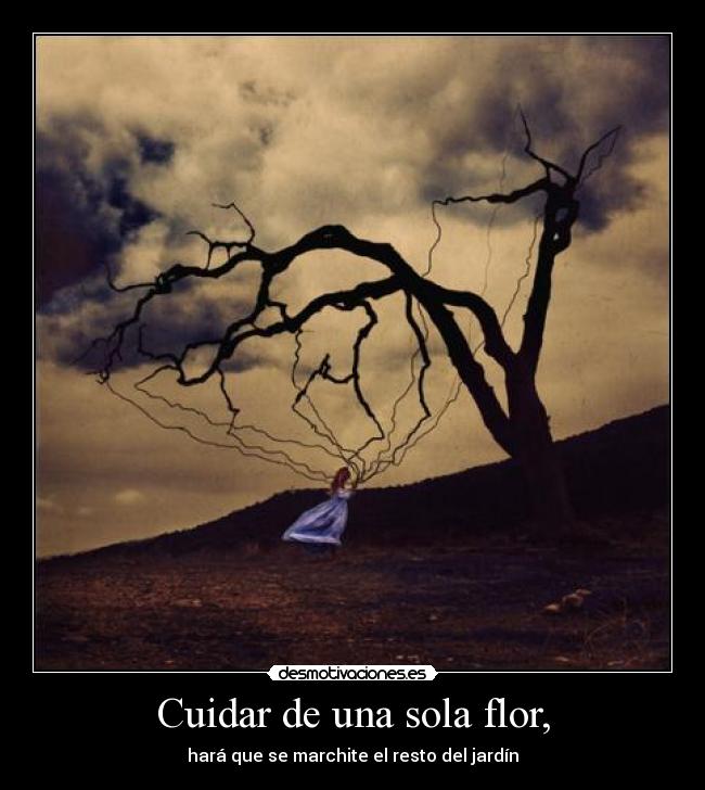 Cuidar de una sola flor, - hará que se marchite el resto del jardín