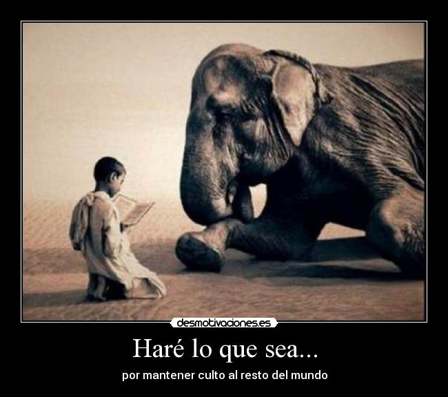 Haré lo que sea... -