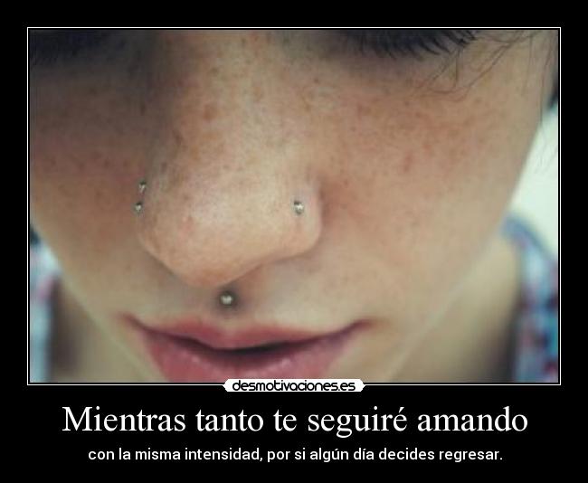 Mientras tanto te seguiré amando - 