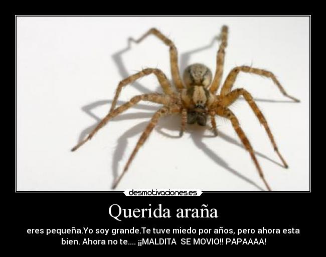 Querida araña - eres pequeña.Yo soy grande.Te tuve miedo por años, pero ahora esta
bien. Ahora no te.... ¡¡MALDITA SE MOVIO!! PAPAAAA!