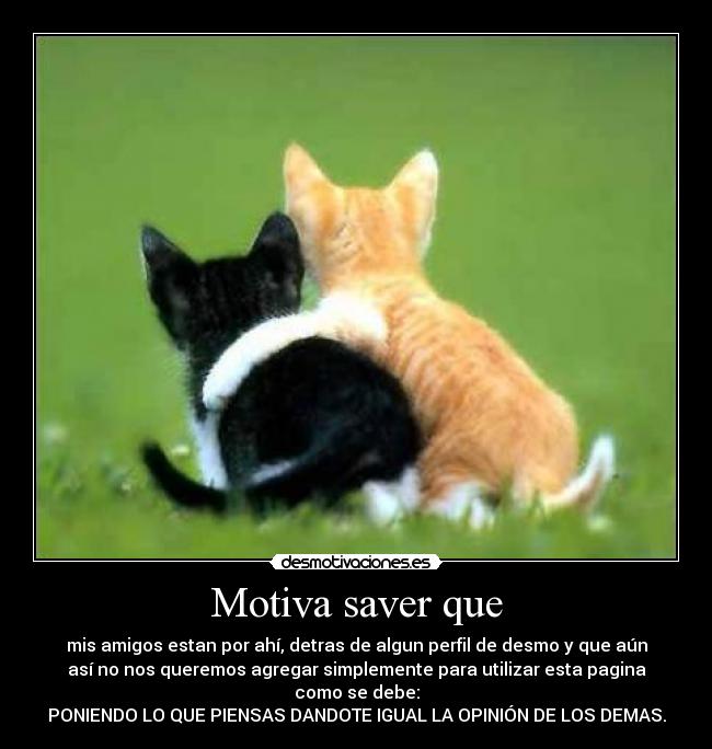 Motiva saver que - mis amigos estan por ahí, detras de algun perfil de desmo y que aún
así no nos queremos agregar simplemente para utilizar esta pagina
como se debe:
PONIENDO LO QUE PIENSAS DANDOTE IGUAL LA OPINIÓN DE LOS DEMAS.
