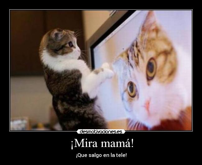 ¡Mira mamá! - ¡Que salgo en la tele!